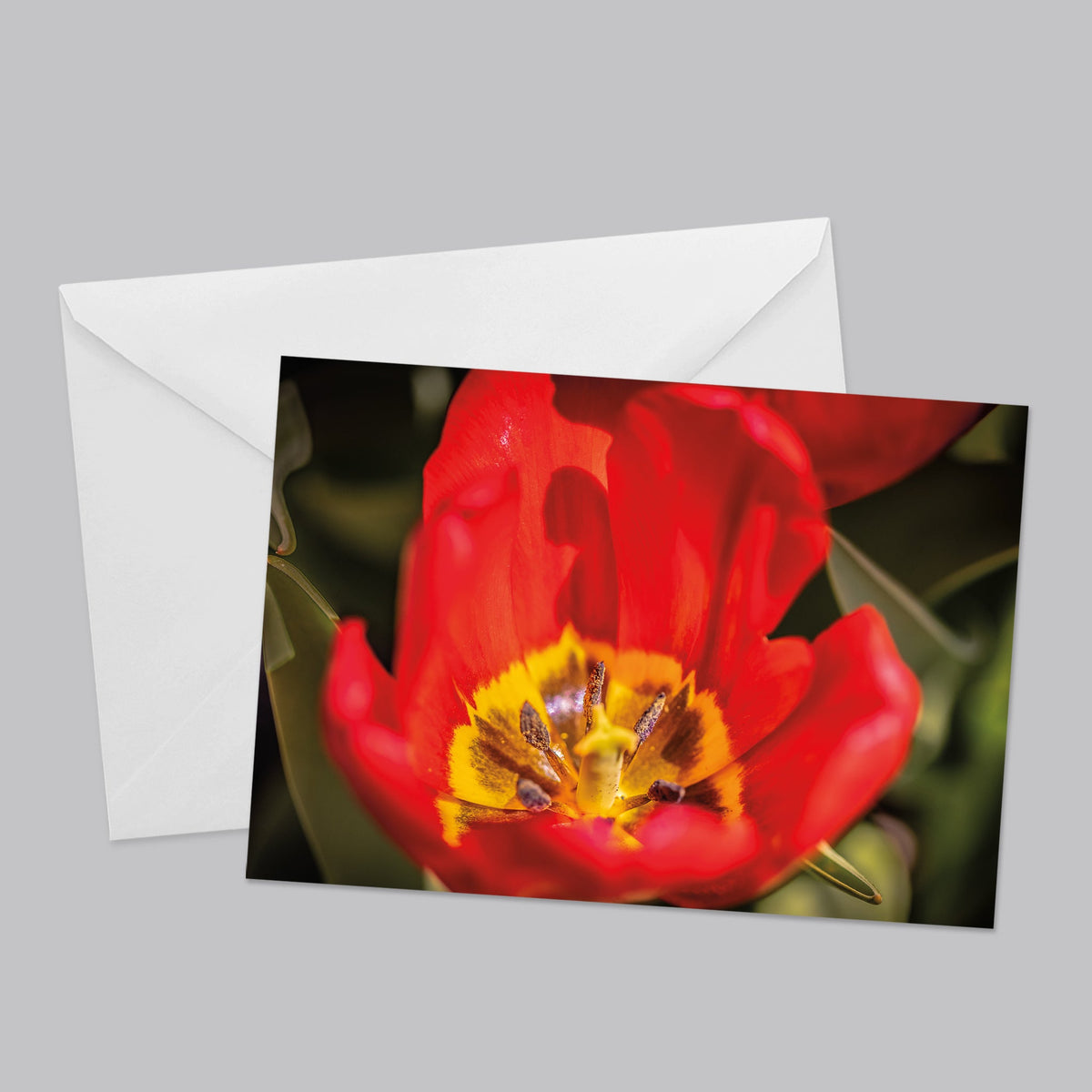 Amazing Flowers Greeting Card Set - The Photography Bar