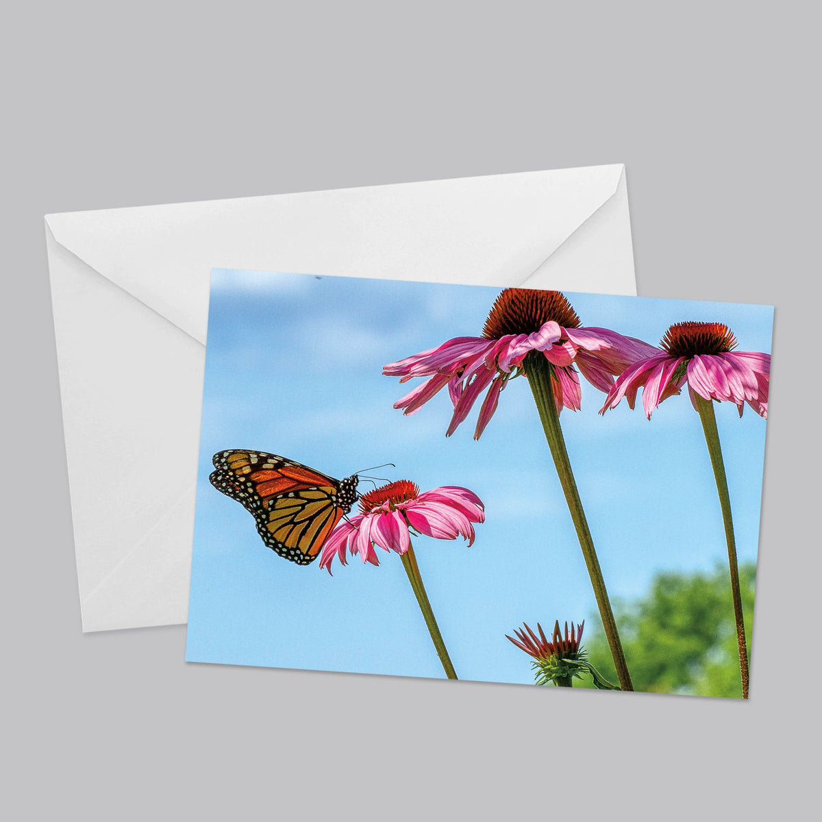 Amazing Flowers Greeting Card Set - The Photography Bar