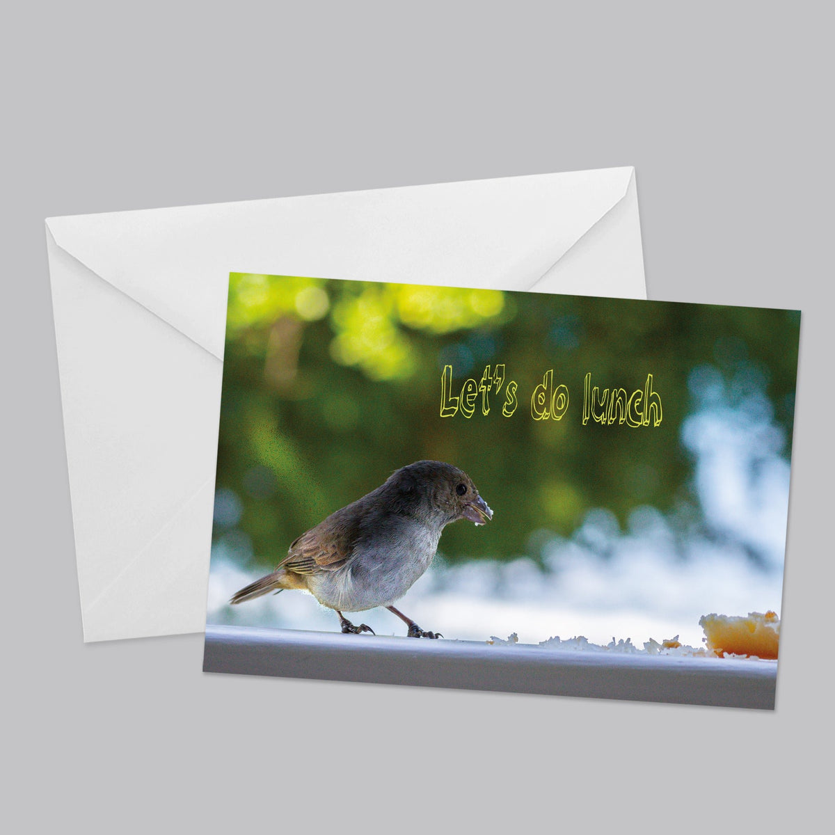 Animal Kingdom Greeting Card Set - The Photography Bar