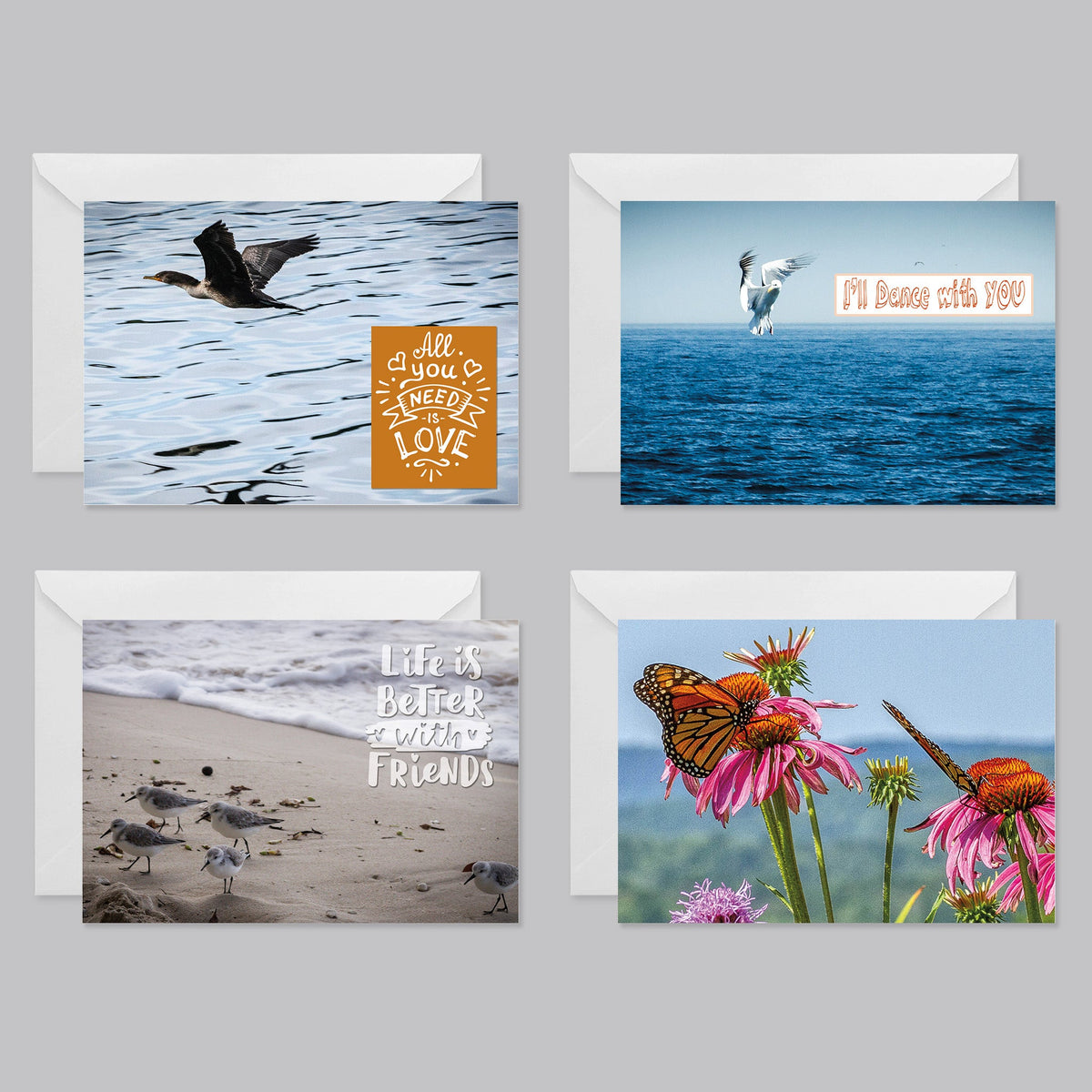 Birds and Butterfly Greeting Card Set - The Photography Bar