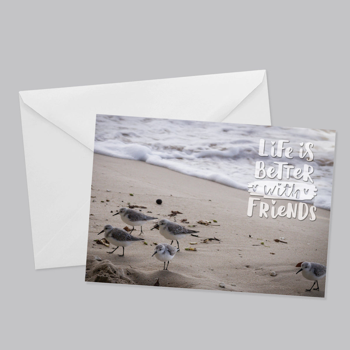 Birds and Butterfly Greeting Card Set - The Photography Bar