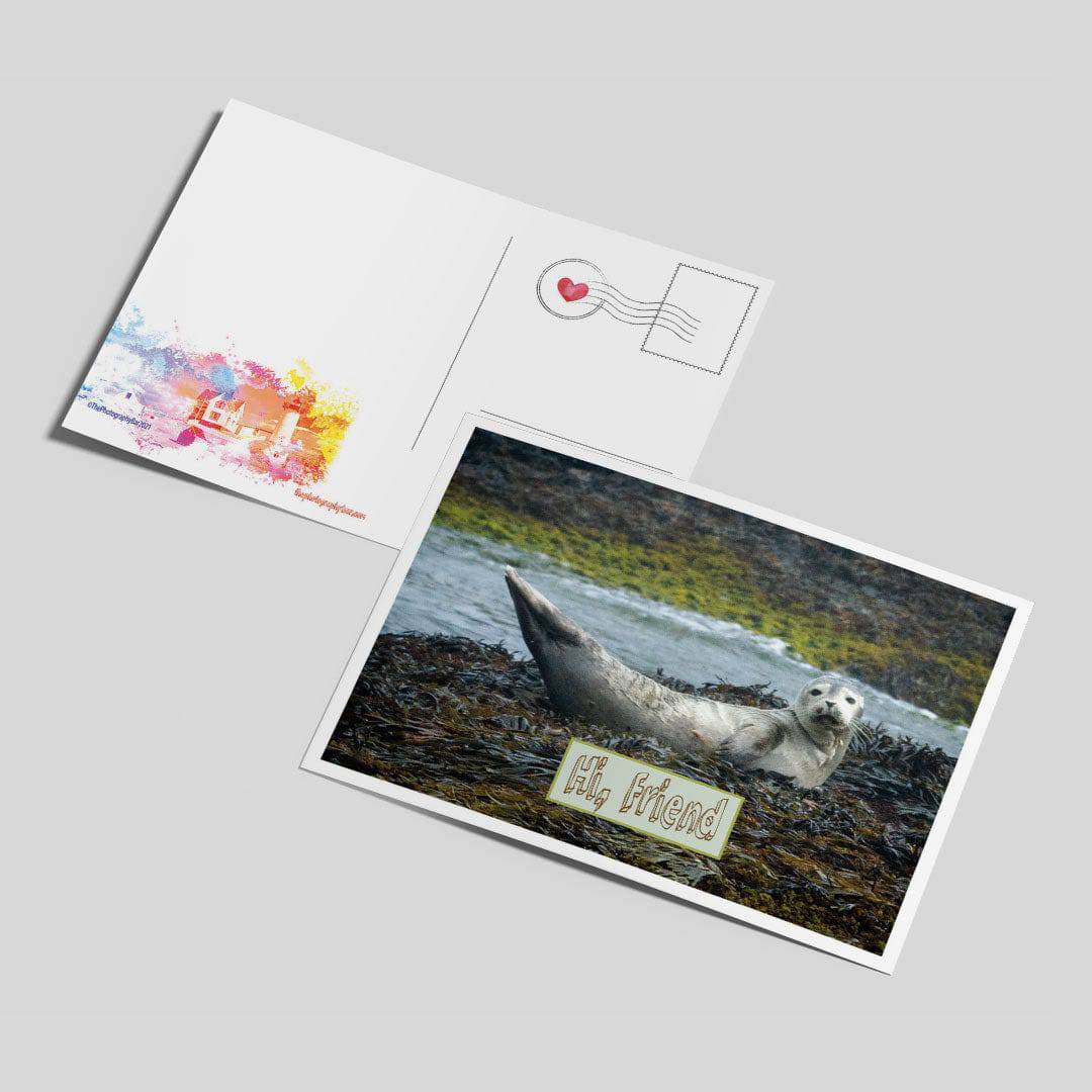 Comforting Creatures Postcard Set - The Photography Bar