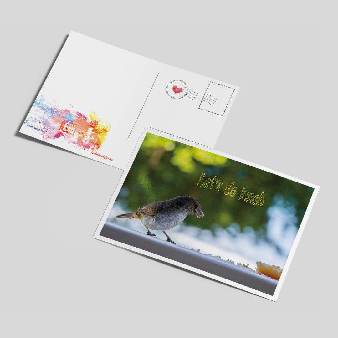 Comforting Creatures Postcard Set - The Photography Bar