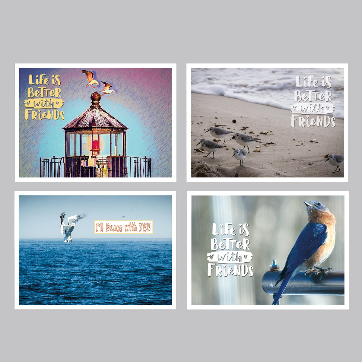 Dancing Birds Postcard Set - The Photography Bar