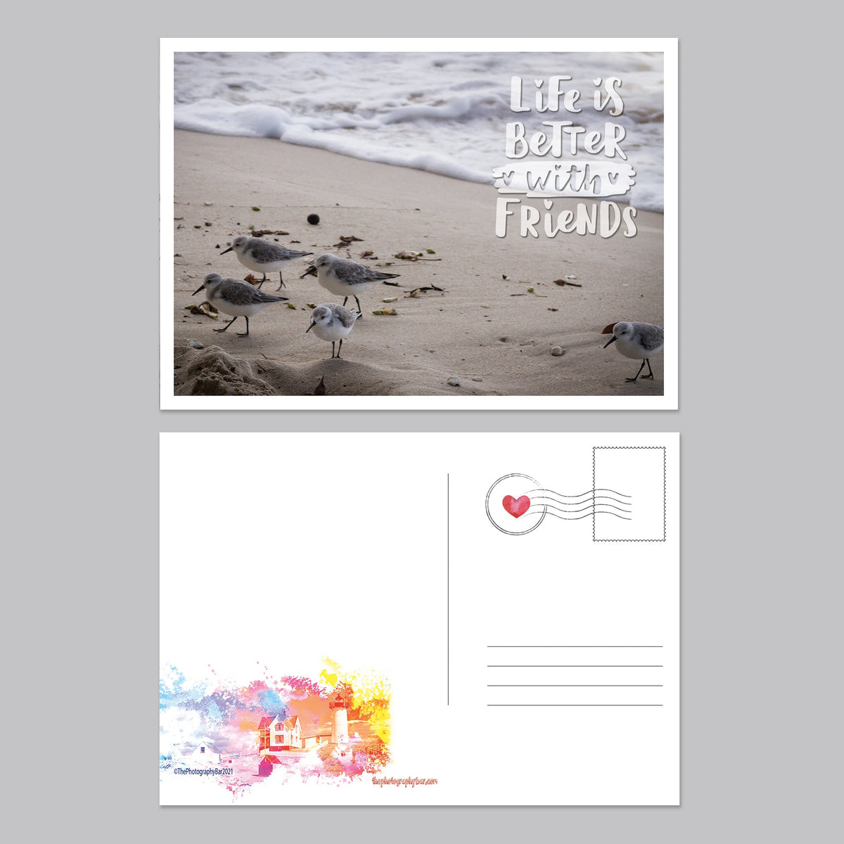 Dancing Birds Postcard Set - The Photography Bar