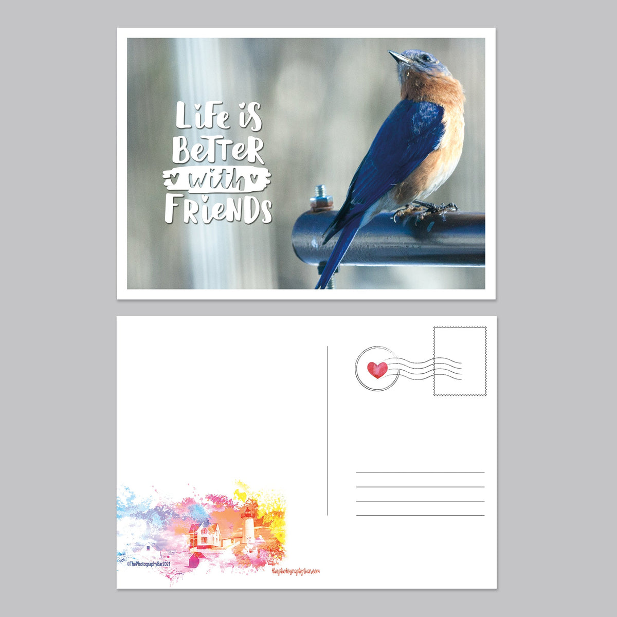 Dancing Birds Postcard Set - The Photography Bar