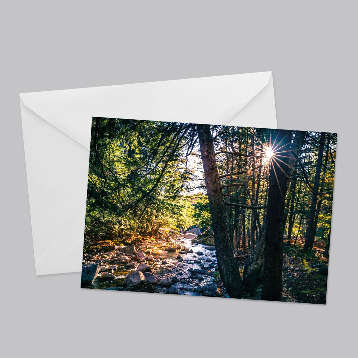 Dream Landscapes Greeting Card Set - The Photography Bar