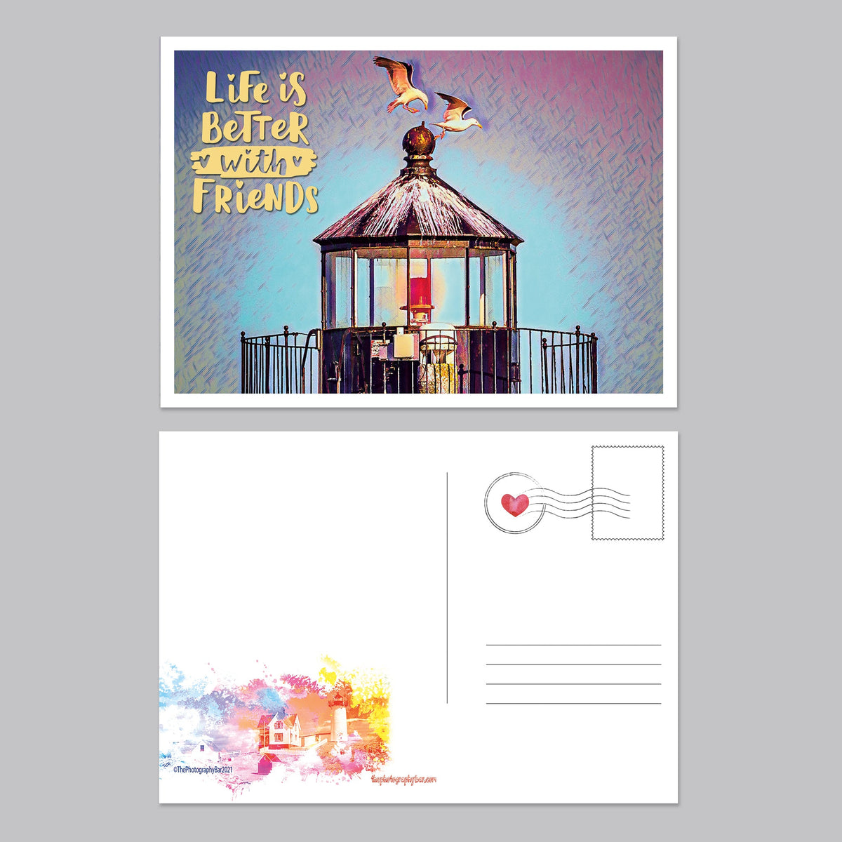 Feathered Friends Postcard Set - The Photography Bar