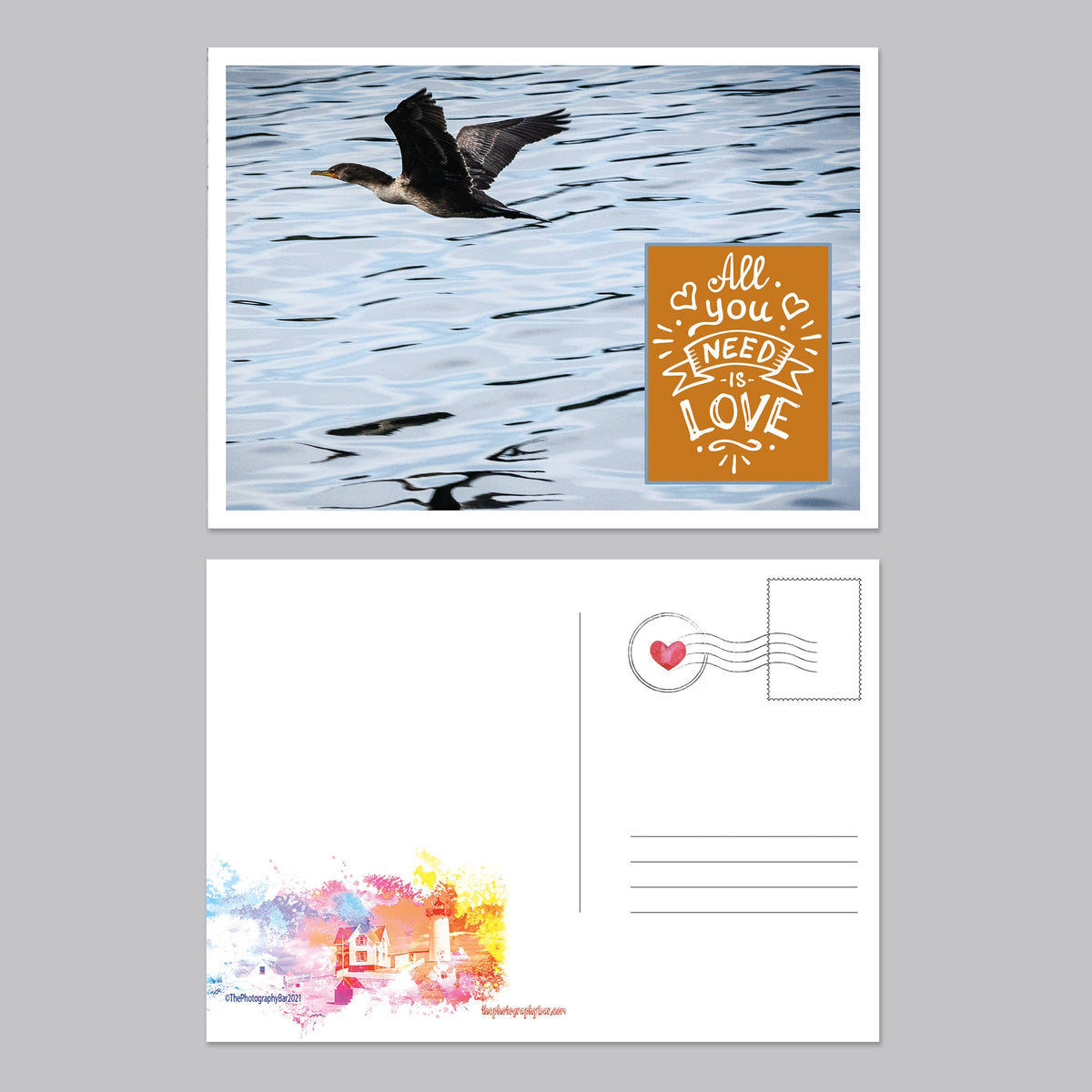 Feathered Friends Postcard Set - The Photography Bar