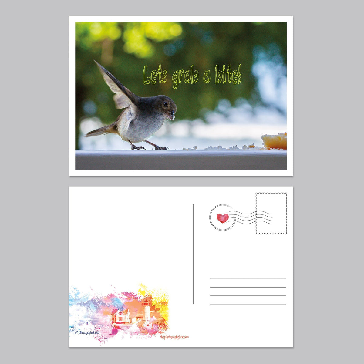 Feathered Friends Postcard Set - The Photography Bar