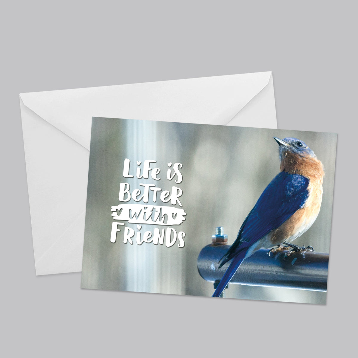 Flora and Fauna Greeting Card Set - The Photography Bar