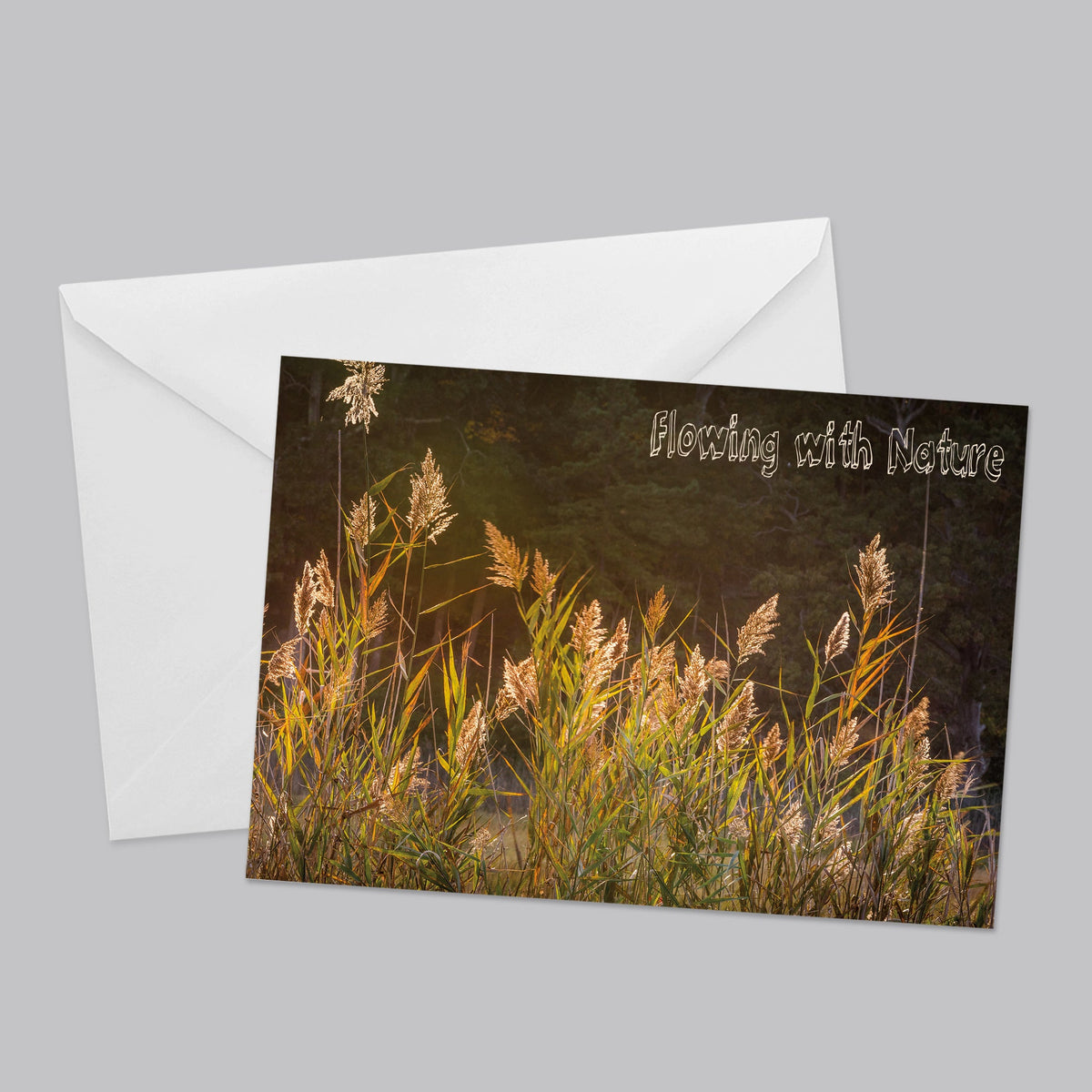 Flora and Fauna Greeting Card Set - The Photography Bar