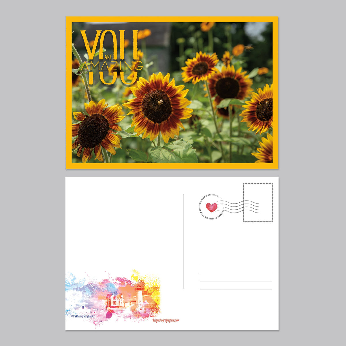 Flower, Love and Friendship Postcard Set - The Photography Bar