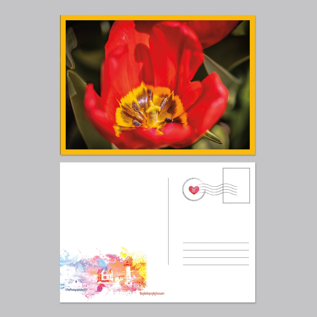 Flower, Love and Friendship Postcard Set - The Photography Bar