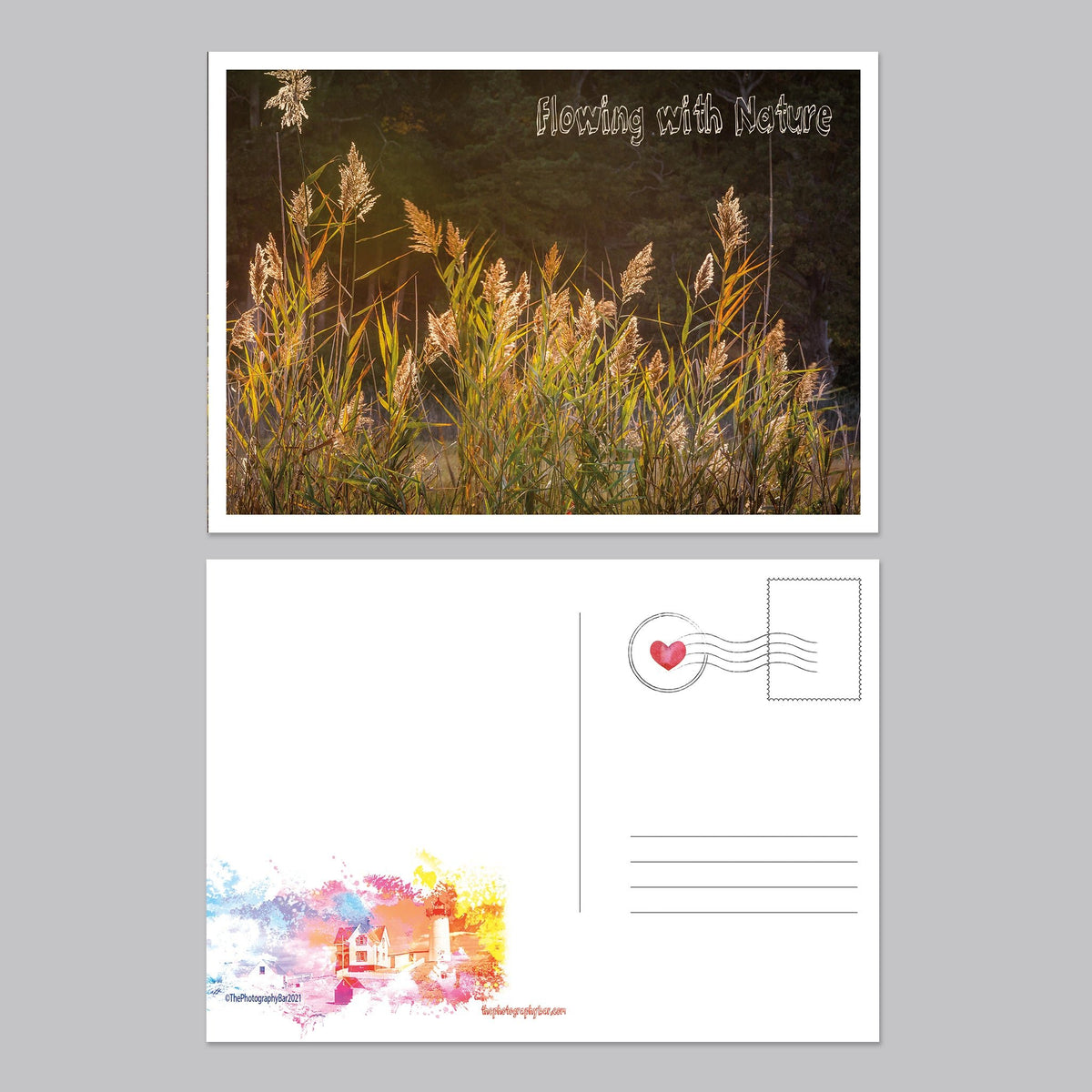 Flower, Love and Friendship Postcard Set - The Photography Bar