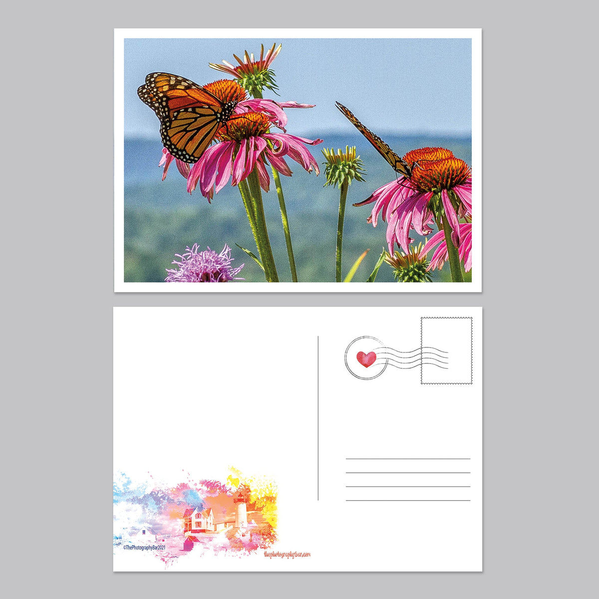 Flower, Love and Friendship Postcard Set - The Photography Bar