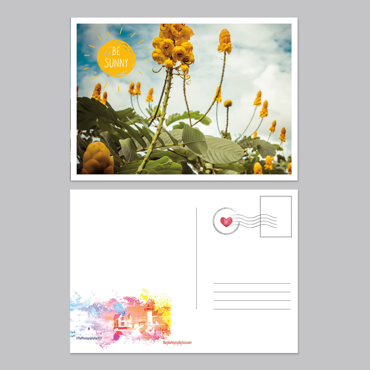 Flower, Love and Friendship Postcard Set - The Photography Bar