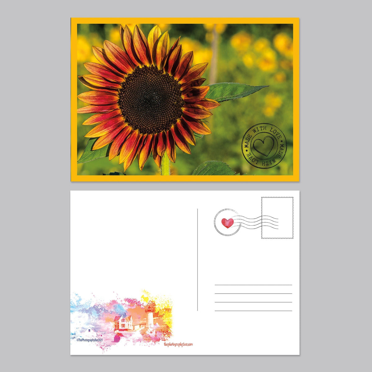 Flower, Love and Friendship Postcard Set - The Photography Bar