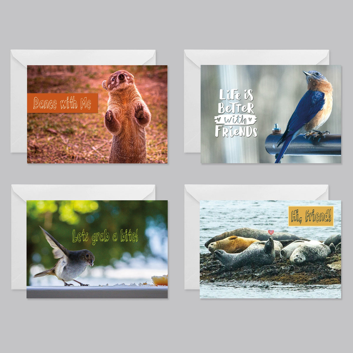 Nature Friends Greeting Card Set - The Photography Bar