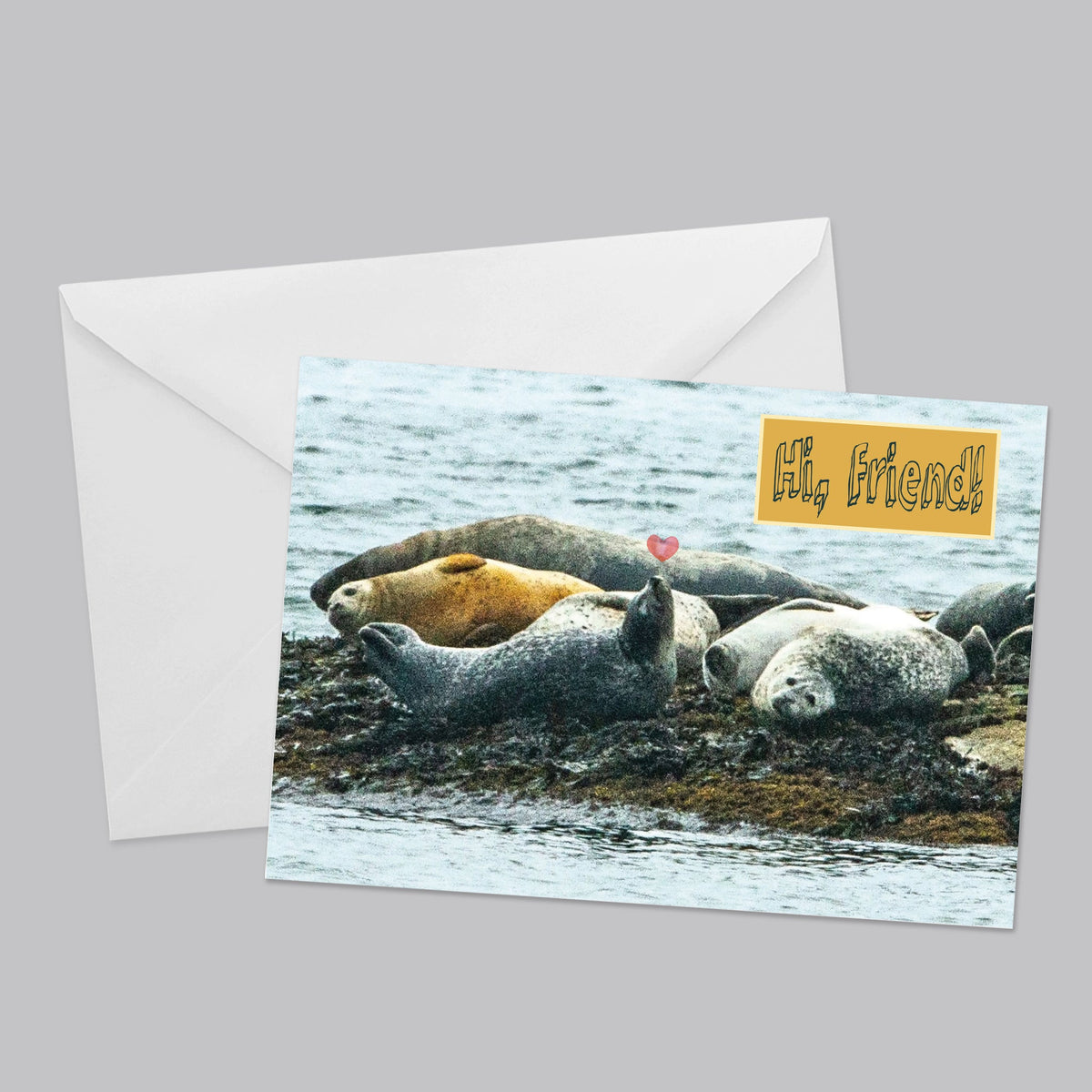 Nature Friends Greeting Card Set - The Photography Bar