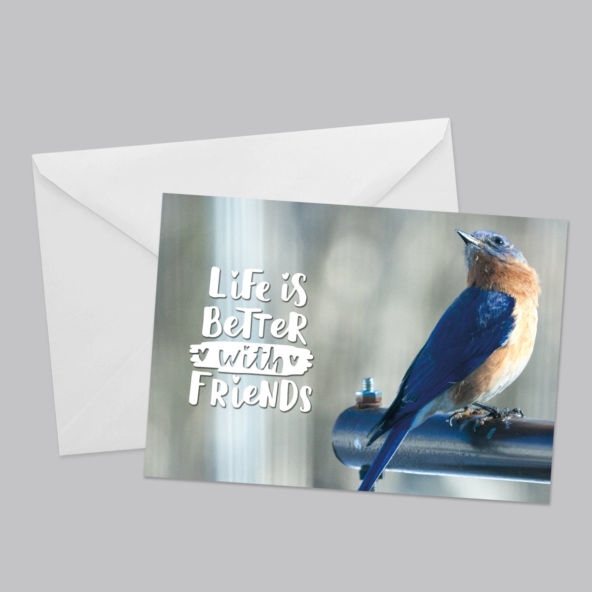 Nature Friends Greeting Card Set - The Photography Bar