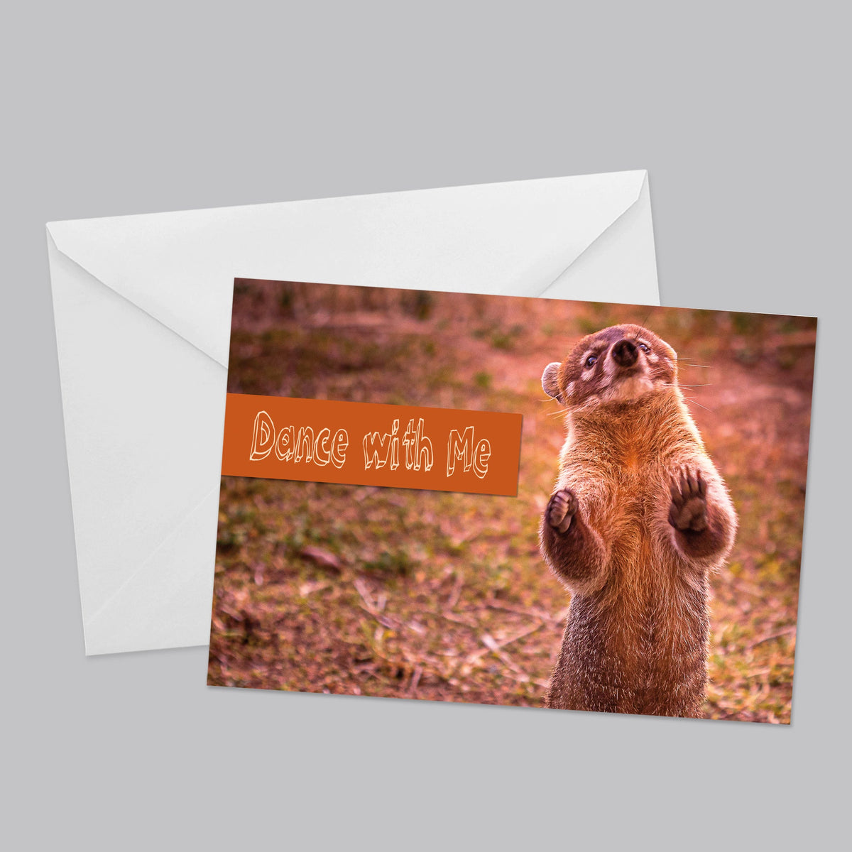 Nature Friends Greeting Card Set - The Photography Bar