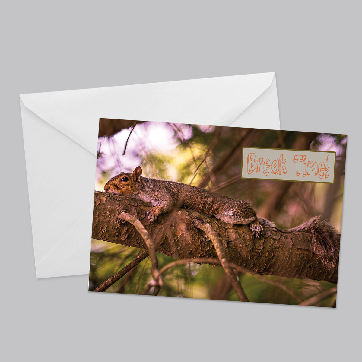 Animal Kingdom Greeting Card Set - Thephotographybar