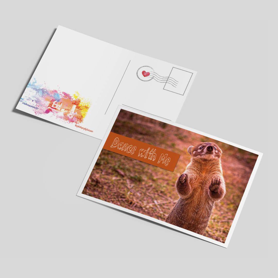 Comforting Creatures Postcard Set - Thephotographybar