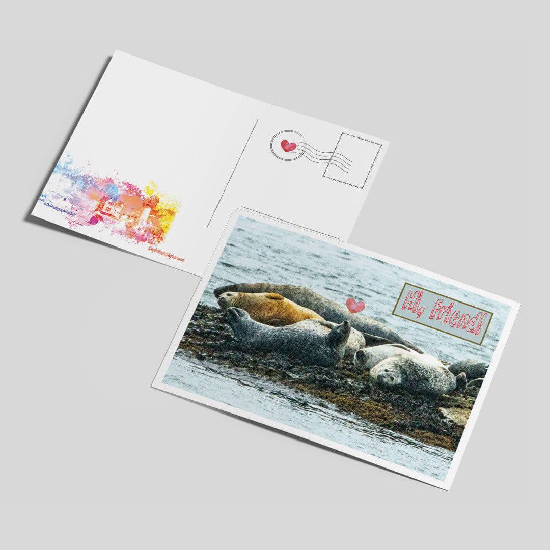 Comforting Creatures Postcard Set - Thephotographybar